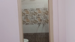 gallery 3-4